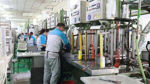 東營(yíng)區(qū)五家企業(yè)入選省級(jí)智能制造名單，助推產(chǎn)業(yè)數(shù)字化轉(zhuǎn)型