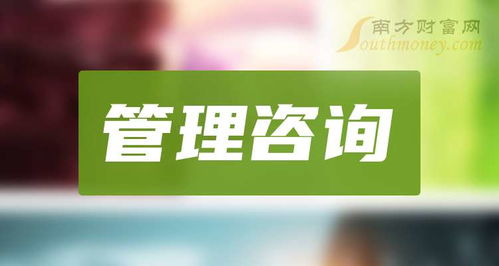2025年企業(yè)管理咨詢行業(yè)領(lǐng)先機(jī)構(gòu)概覽