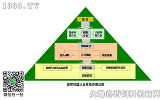 右腦思維 戰(zhàn)略咨詢中的創(chuàng)新引擎與競爭優(yōu)勢